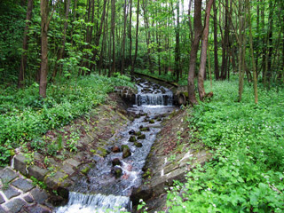 Projekt Zahrazení Pekelského potoka (1984)