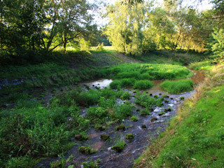 Projekt Skluz Dobříčany (1989)